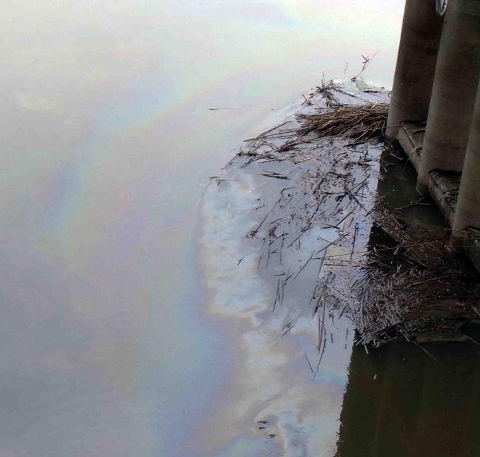 Quintali di gasolio nel canale di Burana 