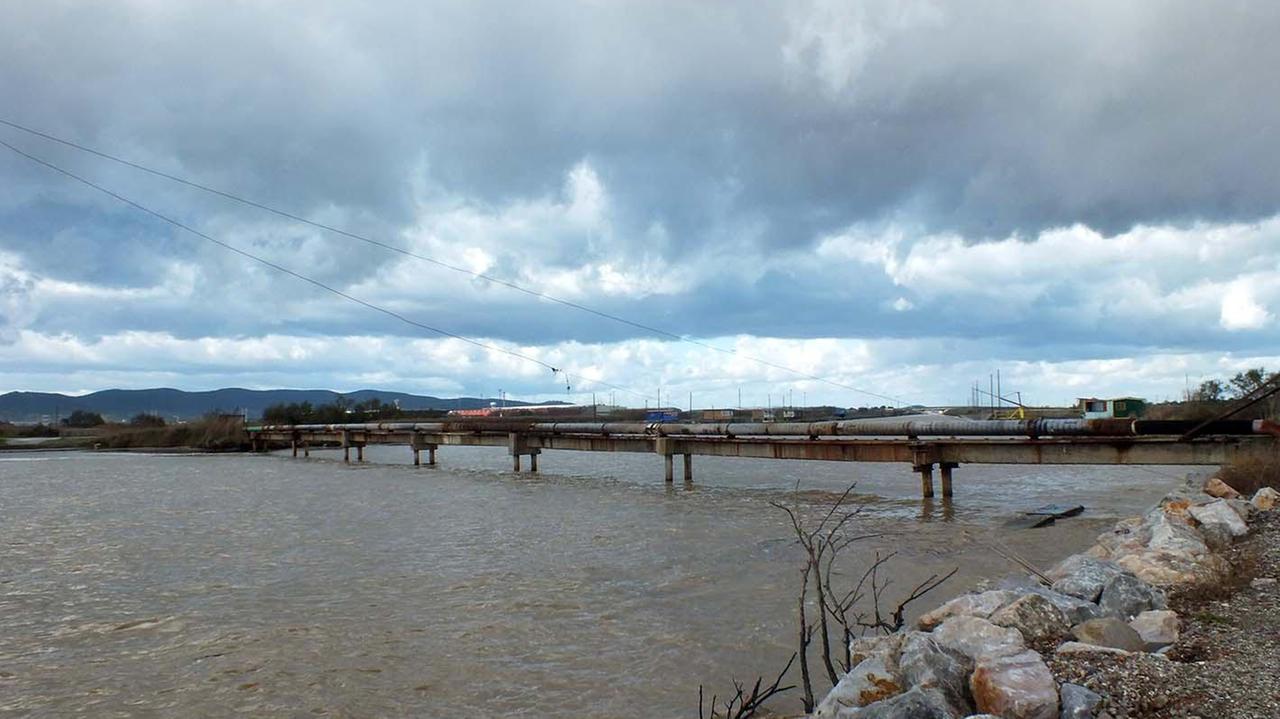 Il fiume Cornia (foto Paolo Barlettani)
