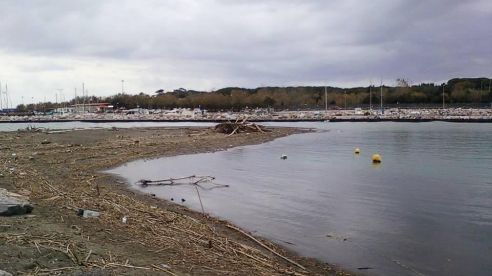 Uno scorcio della foce del Cecina all'altezza del nuovo porto di Marina