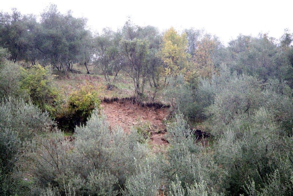 La frana di Codiponte