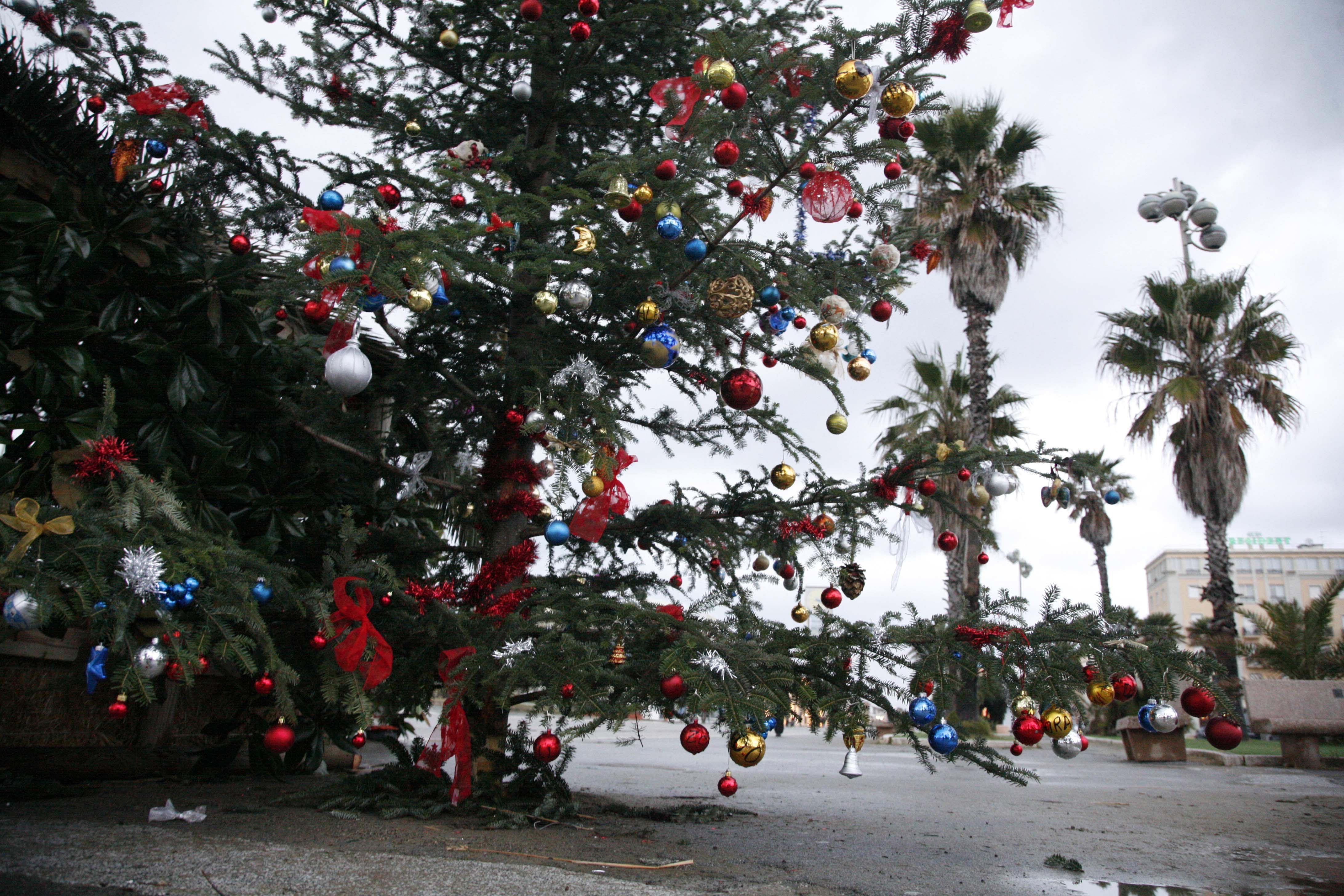 L'albero di Natale di piazza Mazzini a Viareggio