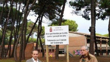 L'assessore ai lavori pubblici Giuseppe Monaci accanto a un cartello che indica il piano di cure