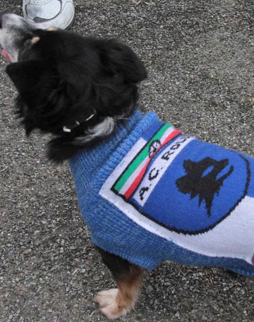 Salutate la capolista ed è baruffa 