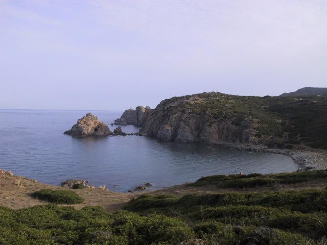 Capo Pecora