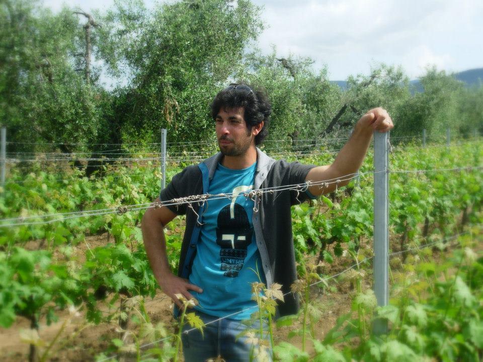 Dario Di Vaira in uno dei suoi vigneti a Bolgheri