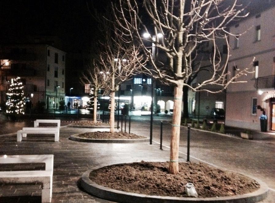 Tre nuovi frassini in piazza, simbolo di pace e libertà
