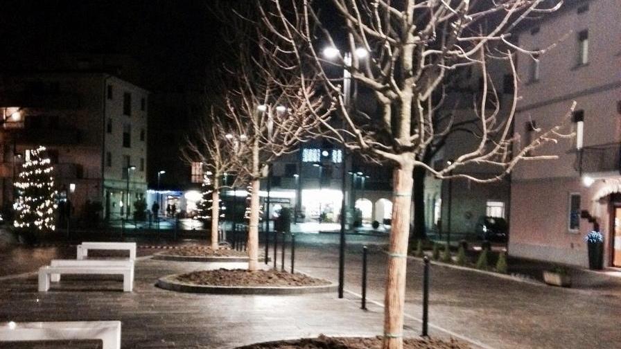 Tre nuovi frassini in piazza, simbolo di pace e libertà
