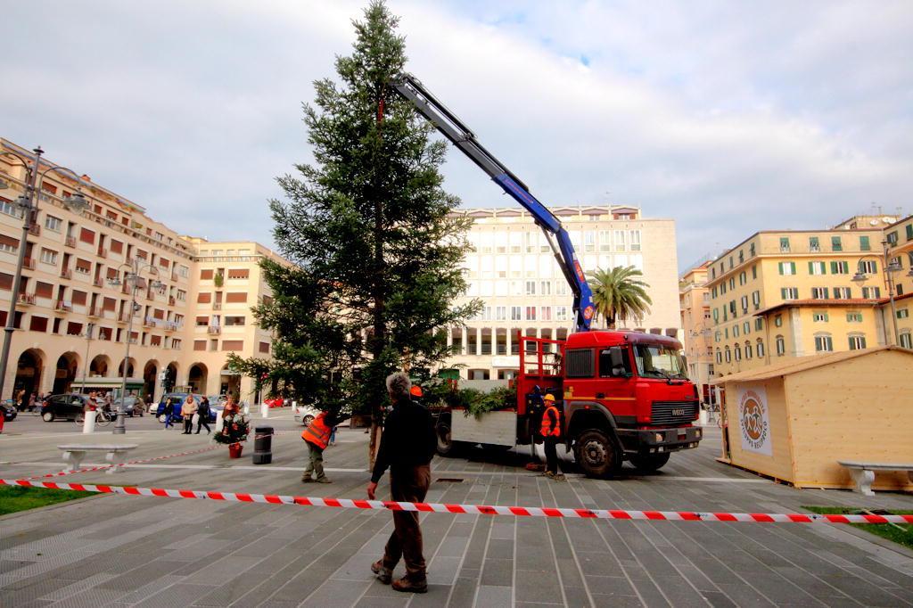 Il nuovo abete in piazza Grande (Marzi Pentafoto)