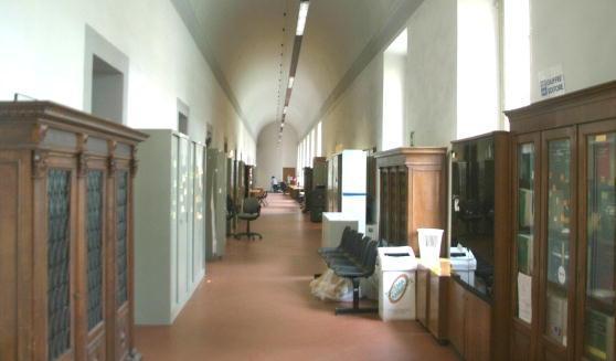 Il tribunale di Lucca
