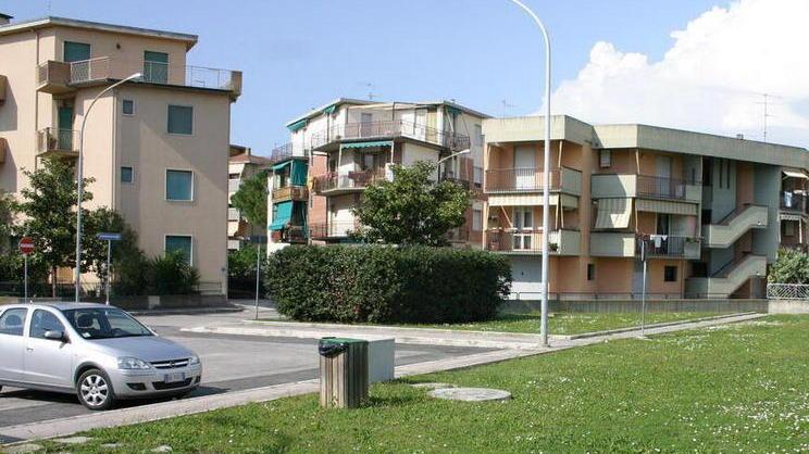 In rete per proteggere l’ambiente