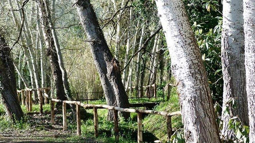 Sul parco Fundone la minoranza frena