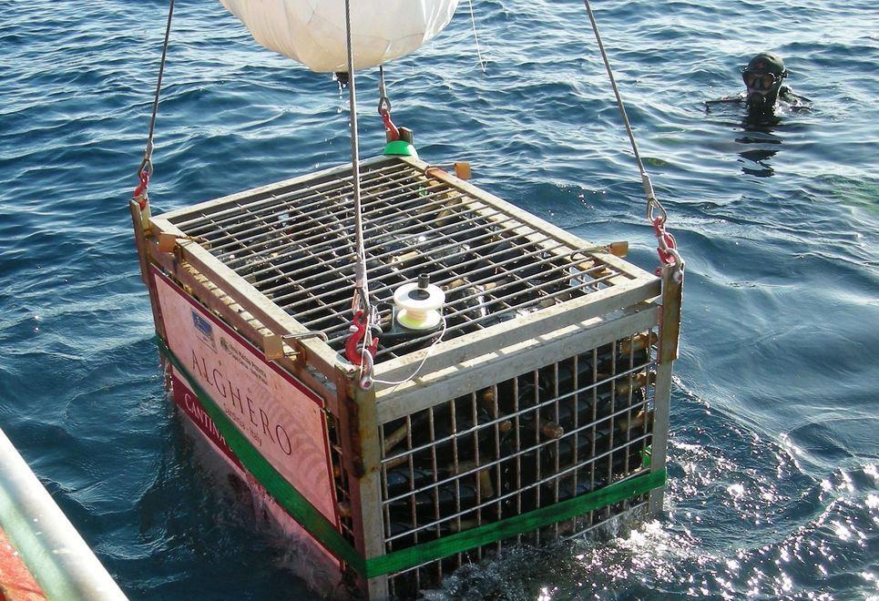 Oggi la cantina subacquea e weekend con menù natalizio