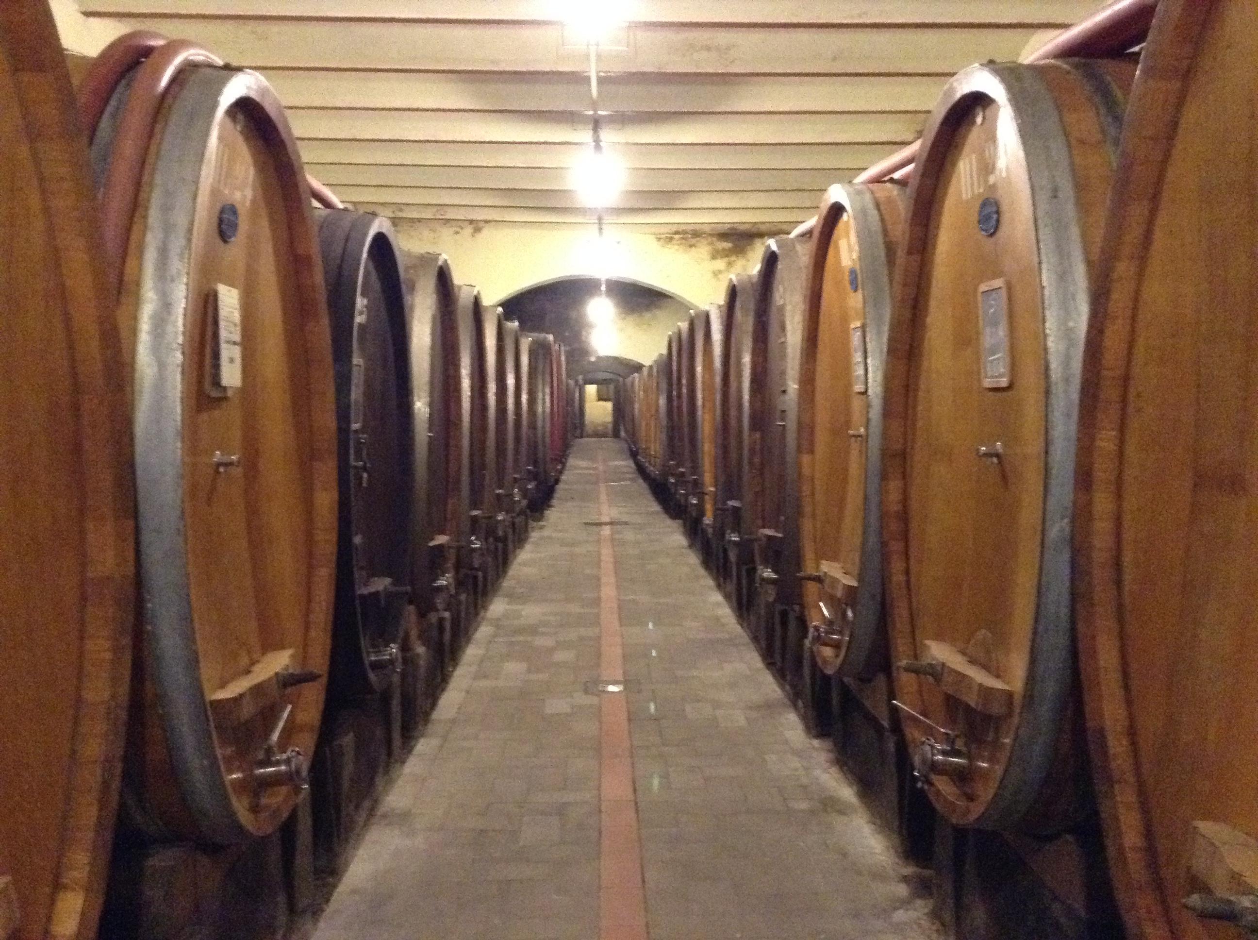Le botti del vino più giovane che diventerà Barco reale: da ogni botte usciranno circa 3.000 bottiglie