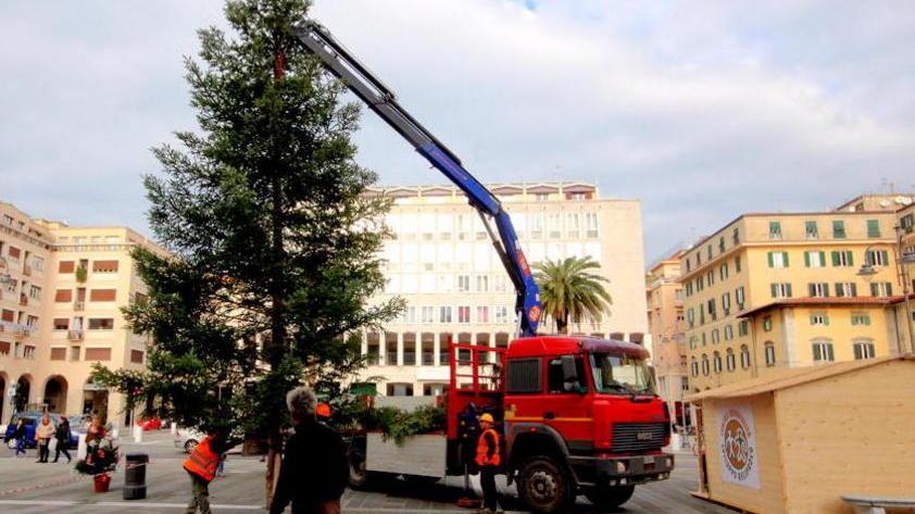 In piazza Grande arriva il maxi-abete Oggi l’albero di luce