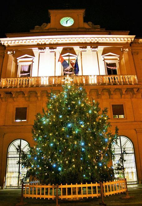 Acceso l’albero natalizio in piazza