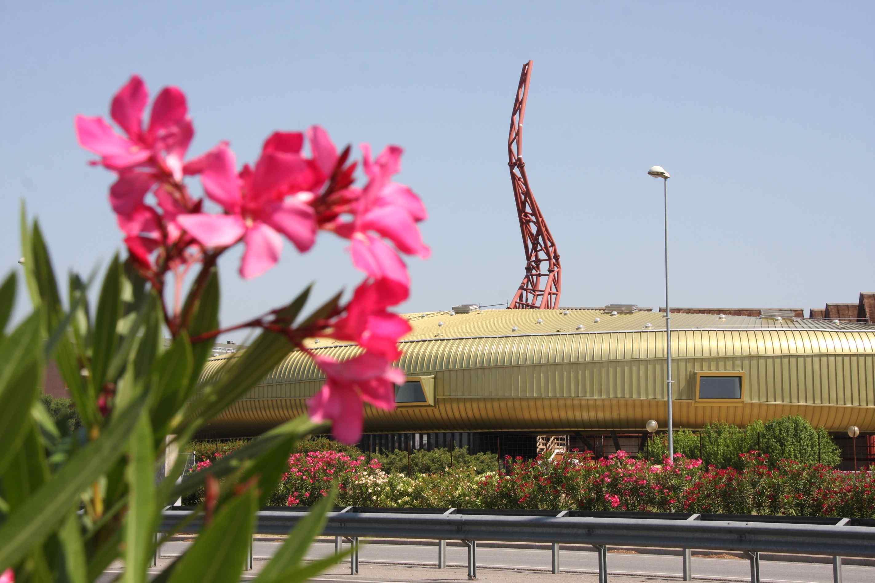 Nuovo Pecci, taglio del nastro per settembre 2015