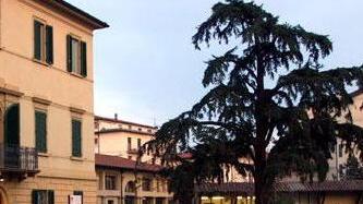 Festa anziani al Melos e Mercatino