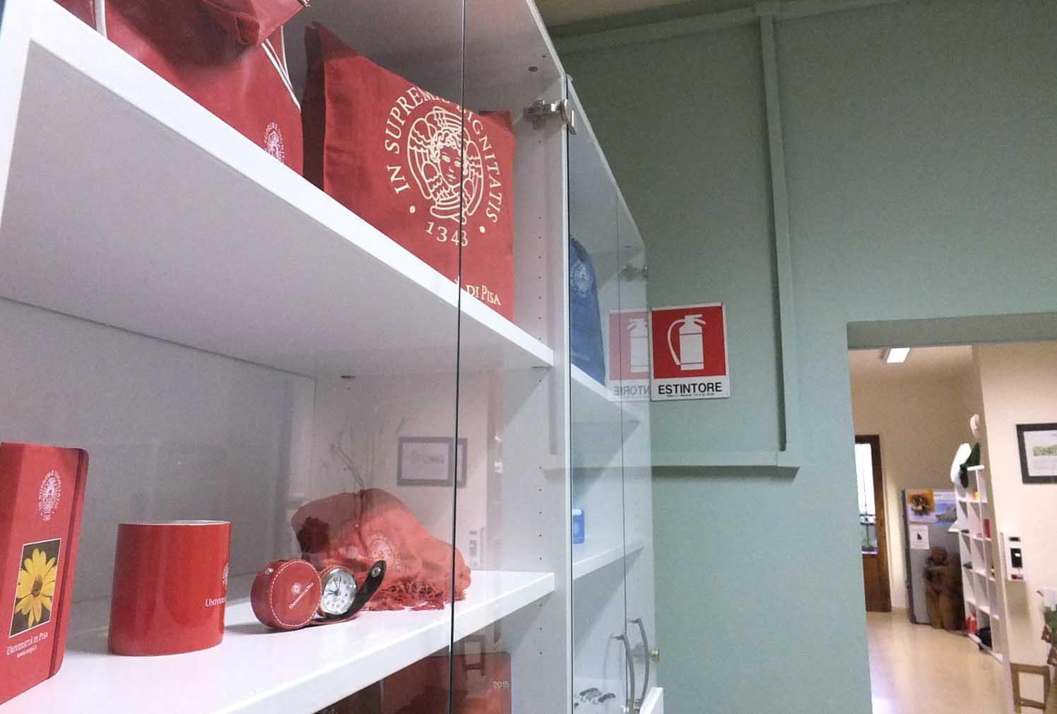 Lo store del Cherubino all’Orto botanico