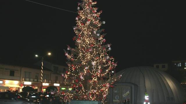 Un albero di Natale