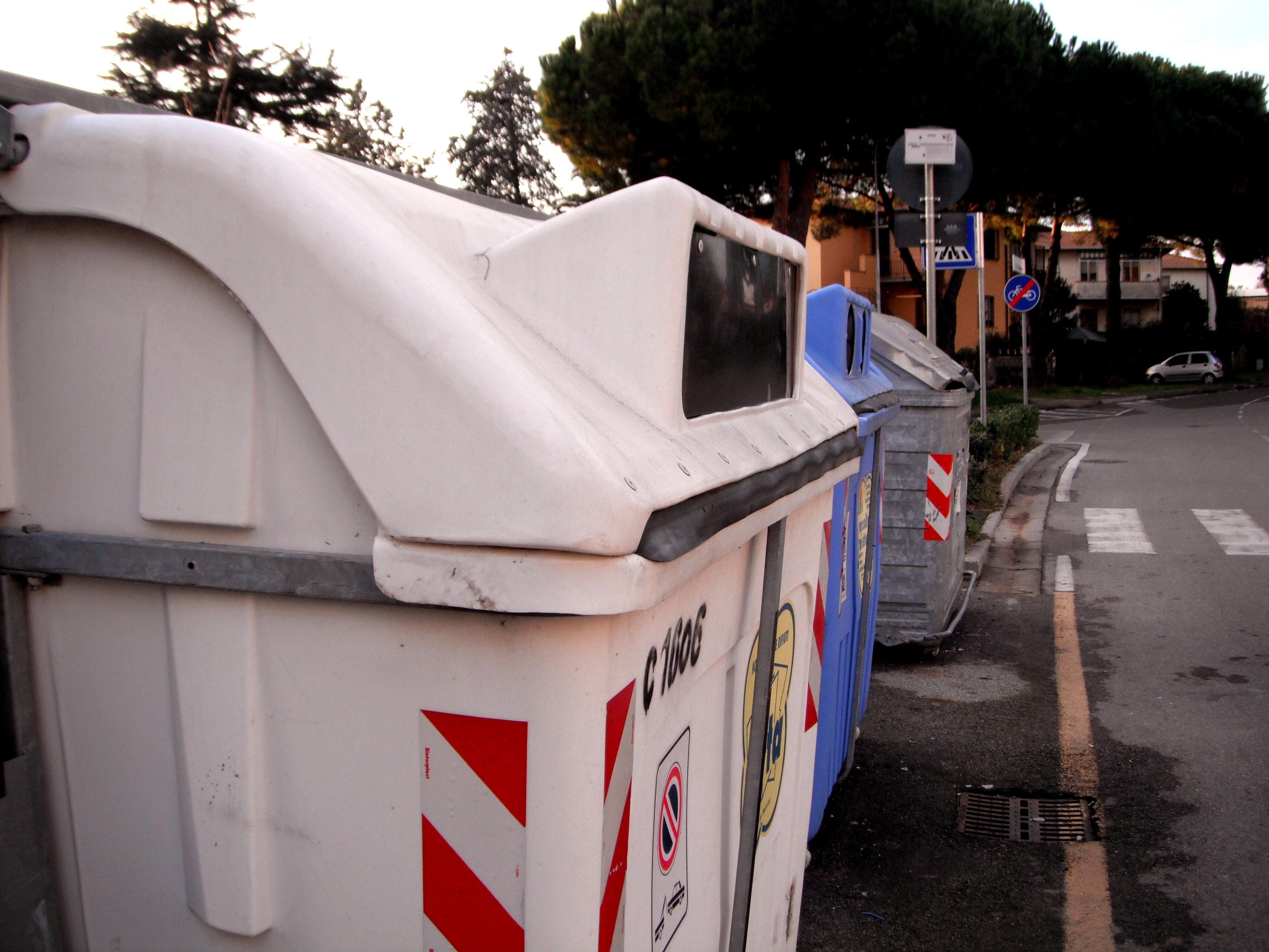 I cassonetti dove è stata posizionata la telecamera (foto Pierluigi)