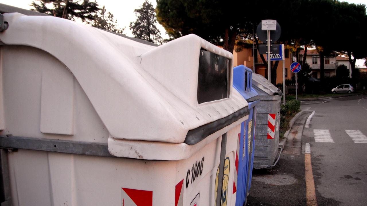 I cassonetti dove è stata posizionata la telecamera (foto Pierluigi)