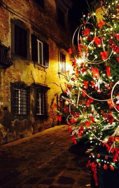Luci e trenta abeti nelle frazioni 