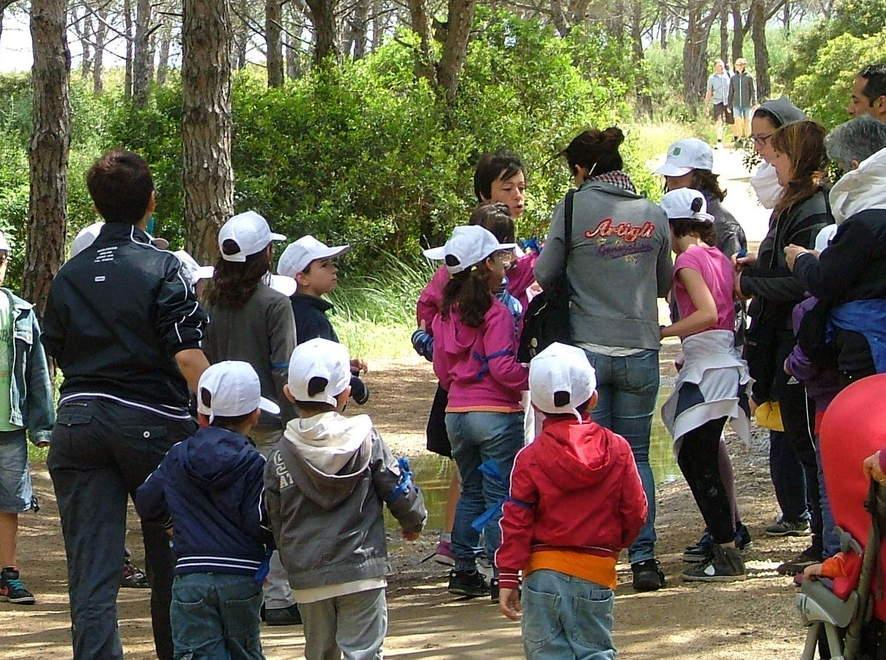 Posada, al via la rinascita della pineta di Orvile 