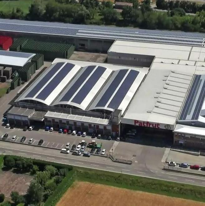 Patfrut, strategie attive sui mercati e controllo dei costi 