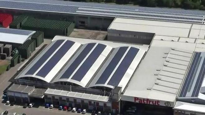 Patfrut, strategie attive sui mercati e controllo dei costi