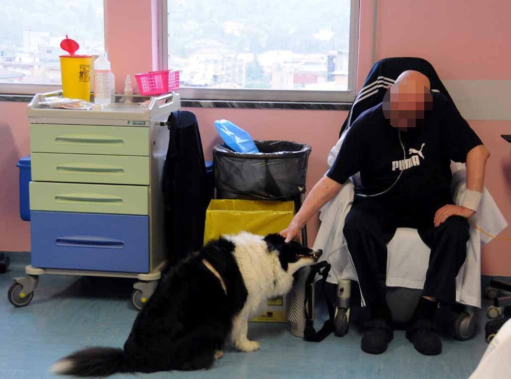 Cani e gatti in ospedale: via libera della Toscana 
