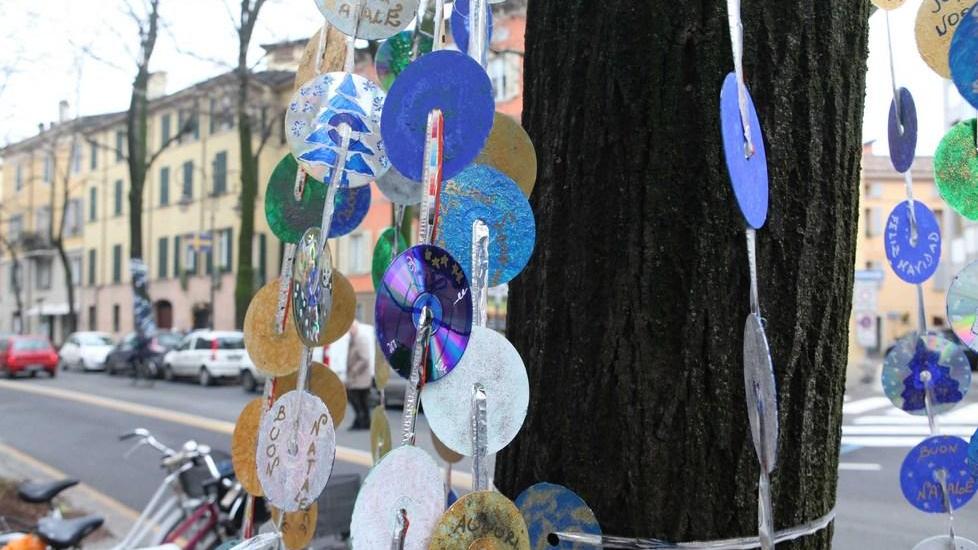 Alberi addobbati da 570 ragazzini delle elementari