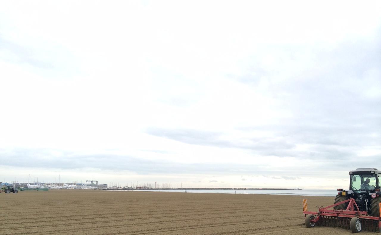 La spiaggia ripulita dai detriti