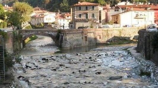 No grillino all’idroelettrico «Neri fermi le centrali»