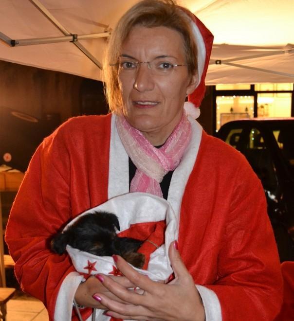 La Croce Rossa ha una soluzione anche per i cani