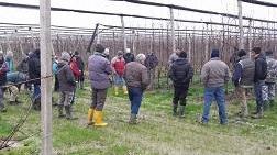 Successo della giornata di potatura