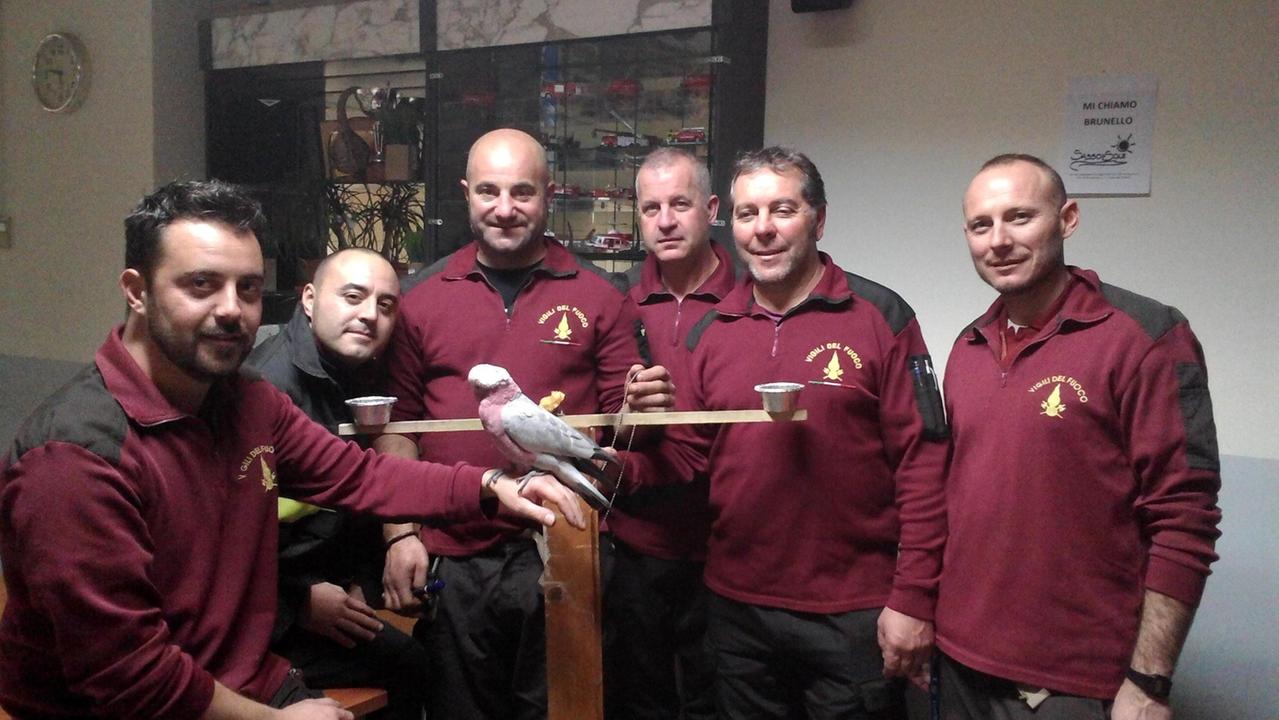 I pompieri coccolano il pappagallo Fiamma