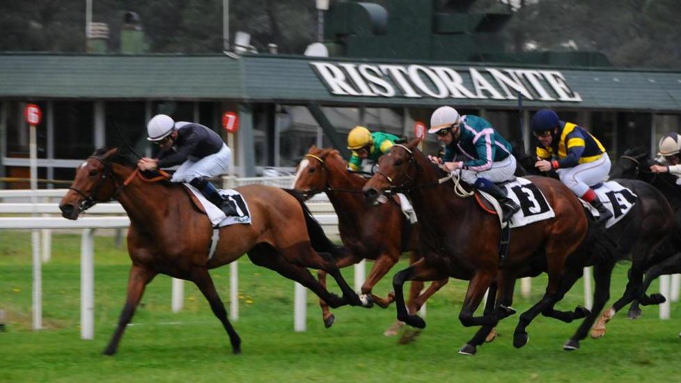 Ippica, sarà un Santo Stefano di pregio