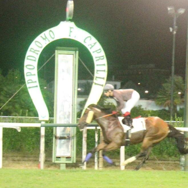Ippodromo, prorogato per un altro anno l’affidamento alla Livorno Galoppo