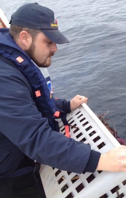 Pesca abusiva di ricci, sub nei guai 