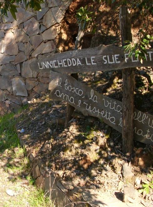Nuove condotte per avvicinare le fonti a Siniscola 