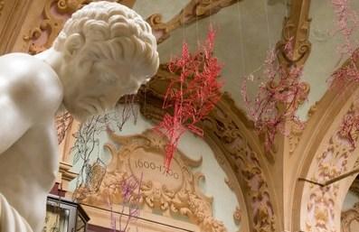 Natale e Capodanno con una visita ai musei o alla Galleria Civica