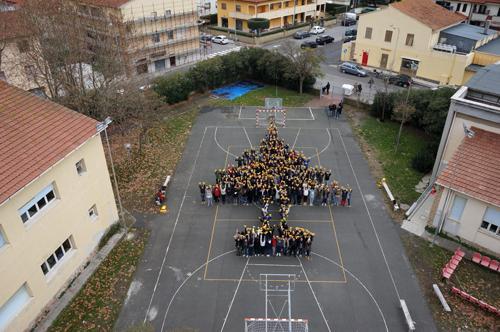 Un albero di Natale vivente