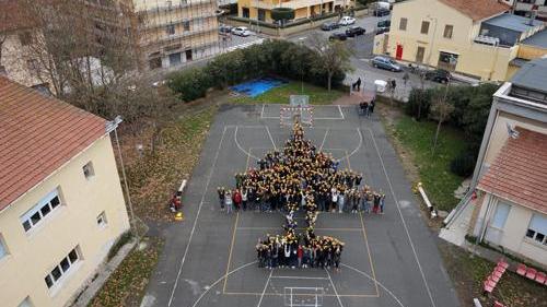 Un albero di Natale vivente