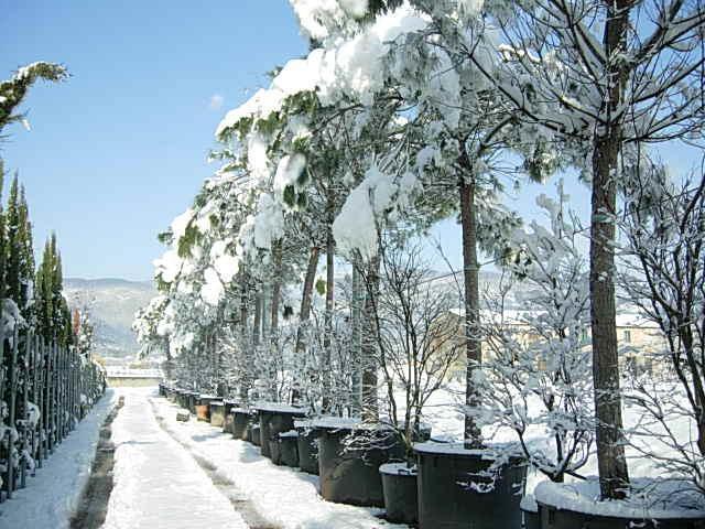 Neve e gelate previste nel pistoiese