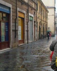 Aggredito da un molosso dodici giorni in ospedale 