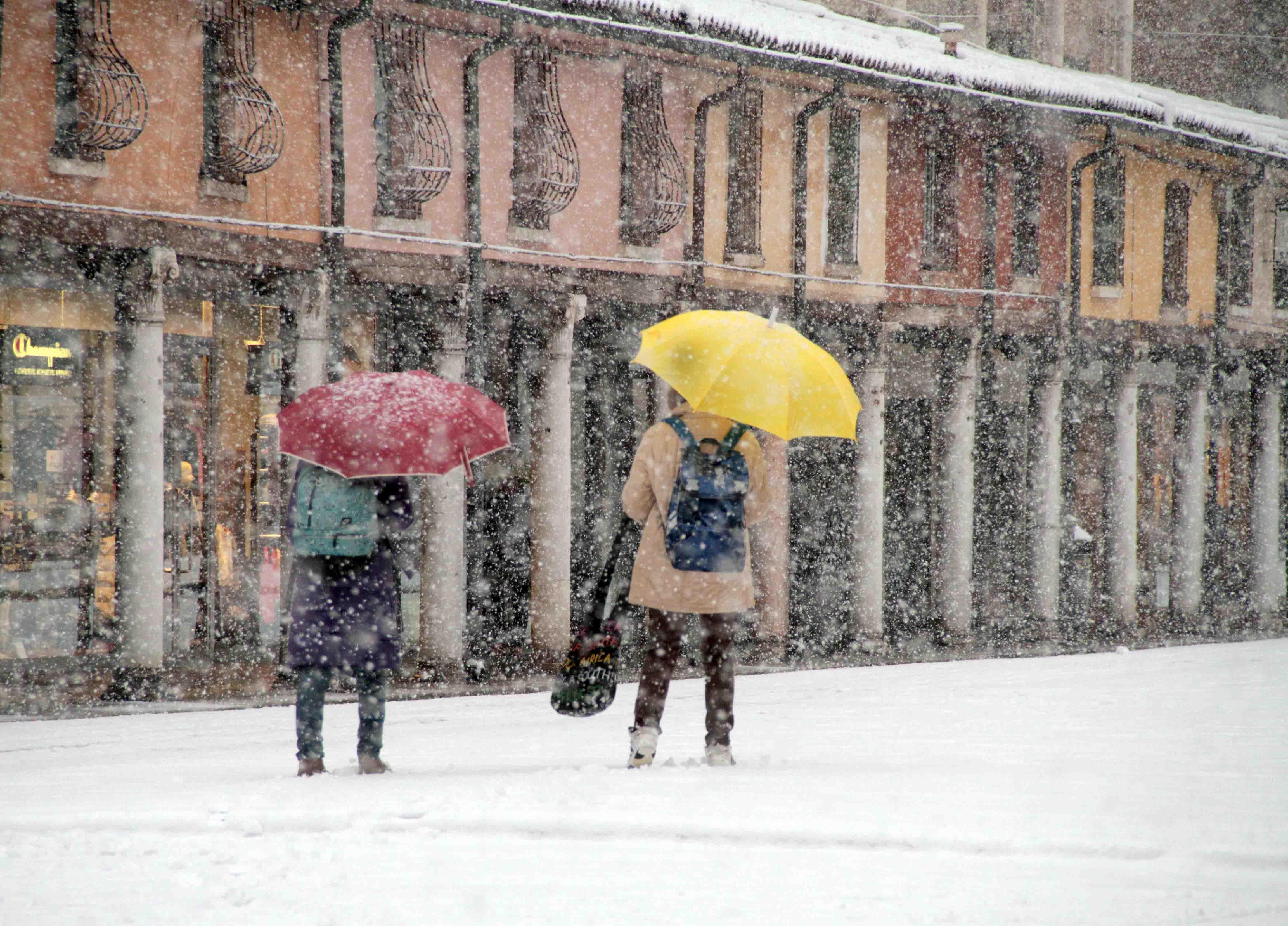neve