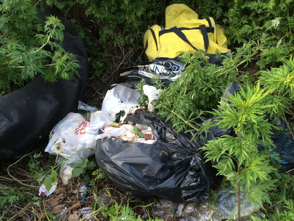 Rifiuti abbandonati nel territorio comunale di Vicopisano
