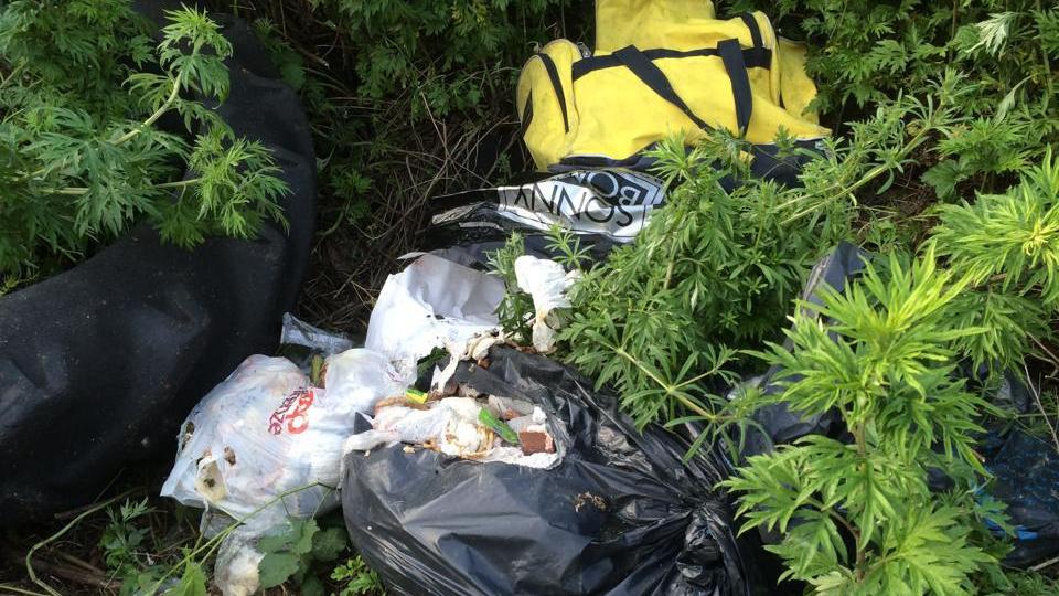 Rifiuti abbandonati nel territorio comunale di Vicopisano