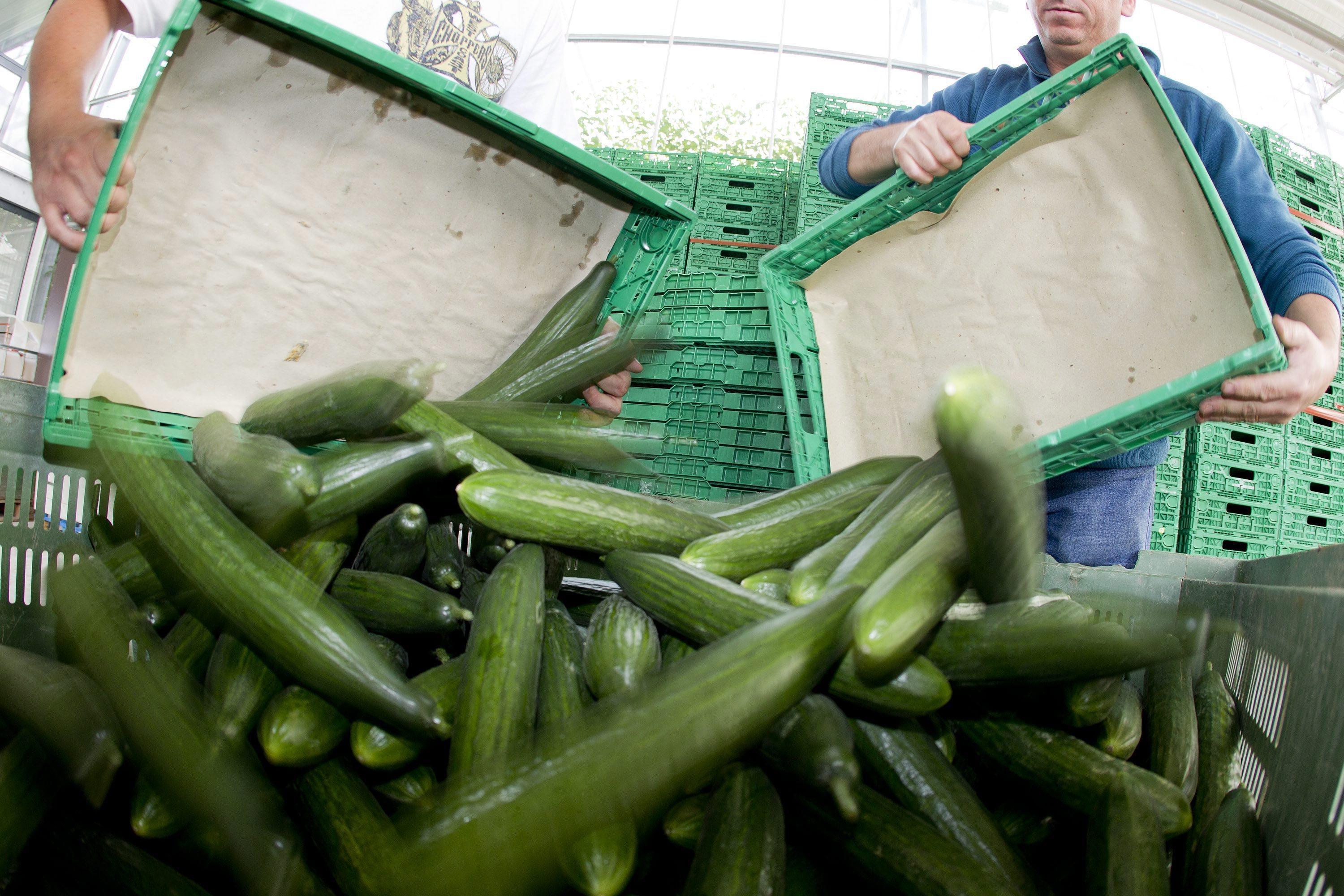 Crolla a picco l'agricoltura in provincia