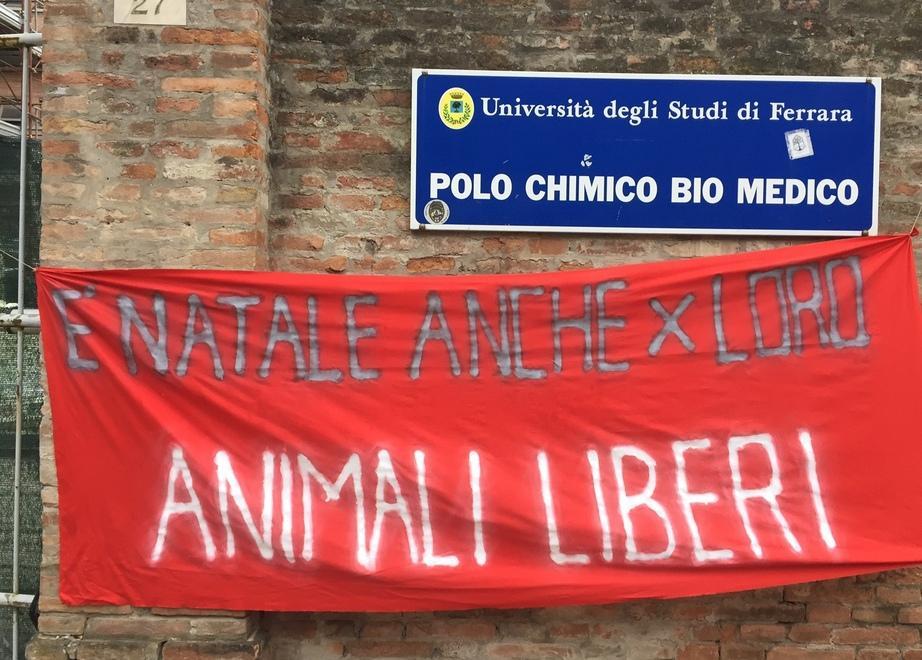 «Basta esperimenti crudeli, liberate i macachi» 